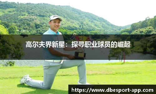 DB电竞官网